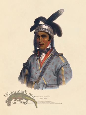 Opothle Yoholo Creek